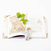 The complete brambly hedge story book 40 year anniversary edition
